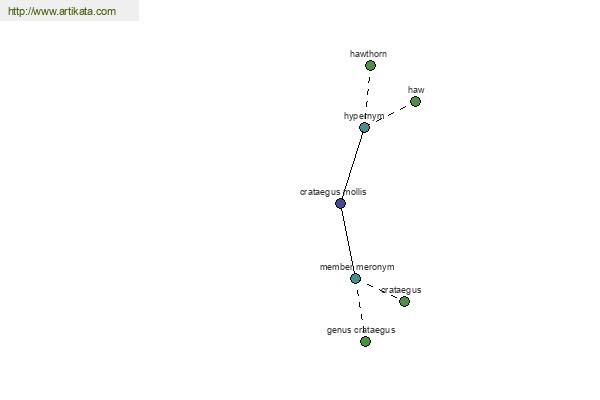 click for definition